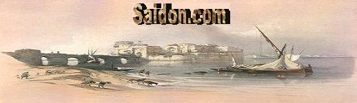 Citadel of Sidon - As It Appeared on Year 1810. It was built by the Crusadors in the early 13th century.