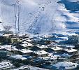 Faraya's Snow