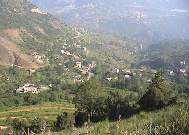 Kartaba Overview