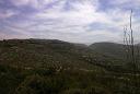 Marjayoun View