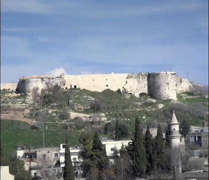 Murex Hill